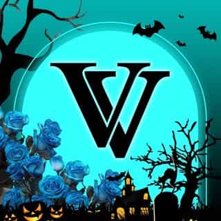 VAVALASH logo