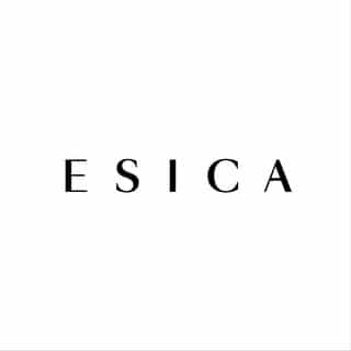 ESICA logo