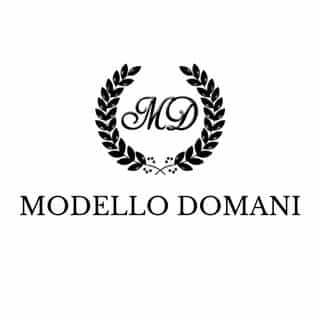 Modello Domani logo