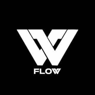 Flow Sport Equipment logo