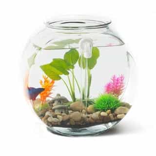 NoClean Aquariums logo