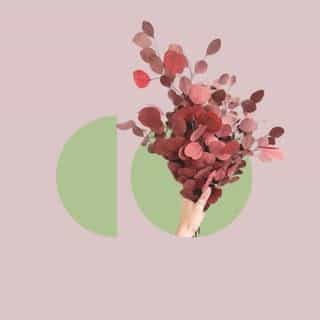 Bloomoon logo