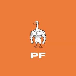 Peak Fusion logo