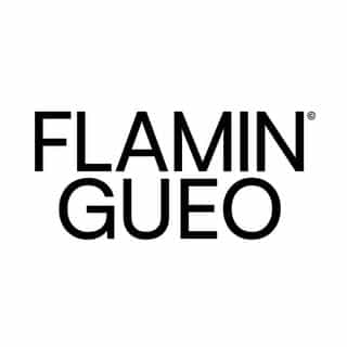 Flamingueo logo