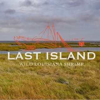 Last Island logo