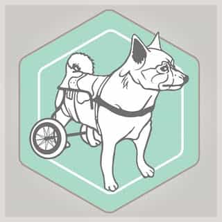 Best Friend Mobility logo