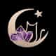 Mooncat Crystals logo