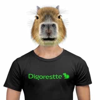 Digorestte logo