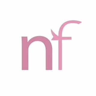 NiceFlamingo logo