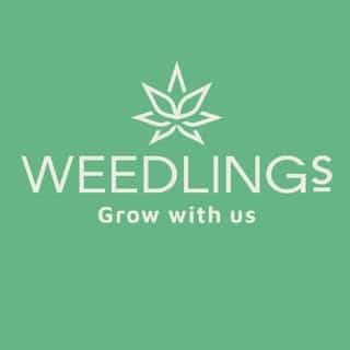 Weedlings logo