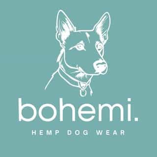 Bohemi logo