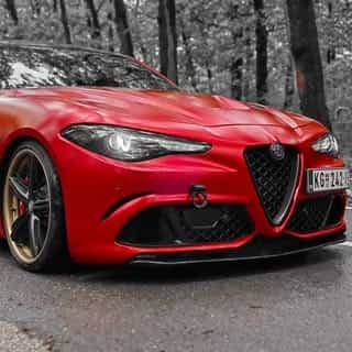 Sports Car Enthusiasts logo
