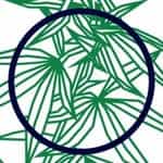 MaryJane Mommy logo