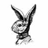 Rare Hare Spirits logo