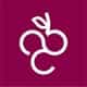 Vinsel Vinhos logo