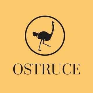 Ostruce logo