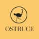 Ostruce logo