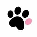 Pup Stack logo