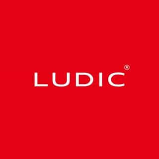 Ludic logo