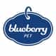 Blueberry Pet logo