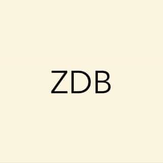 Zé do Boné logo