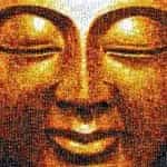 Buddha Power Store logo