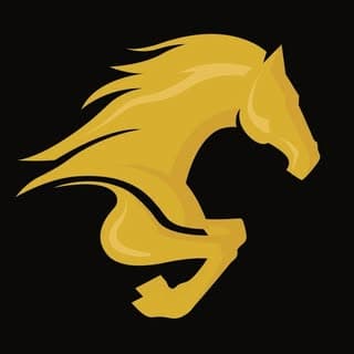 Académie Équestre Internationale logo