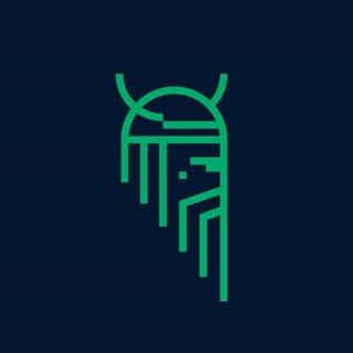 Viking Dome logo