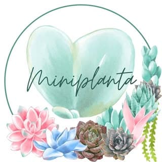 miniplanta logo