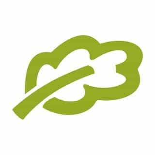 Loints of Holland logo