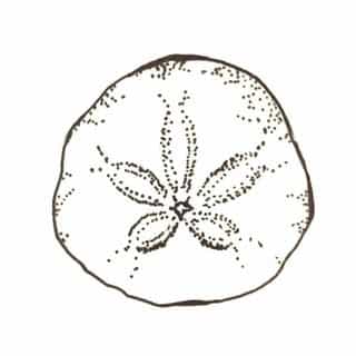 CALl KAI HAWAII logo