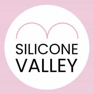 SiliconeValley logo