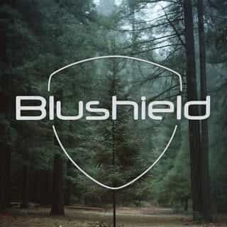Blushield USA logo