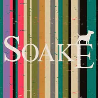 SOAKE logo