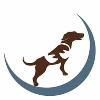 Natural Choice Pet Foods logo