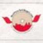 BESTNYBAGEL logo