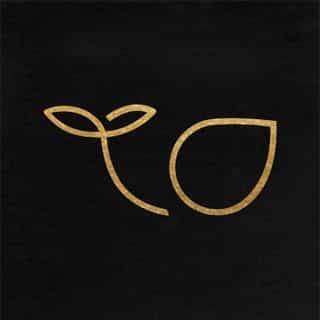 Orca Chocolate logo