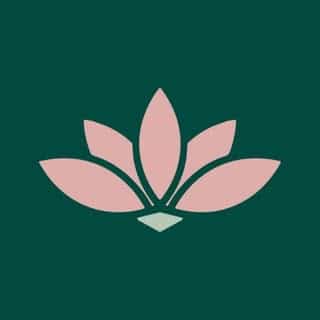 The Birth Store logo