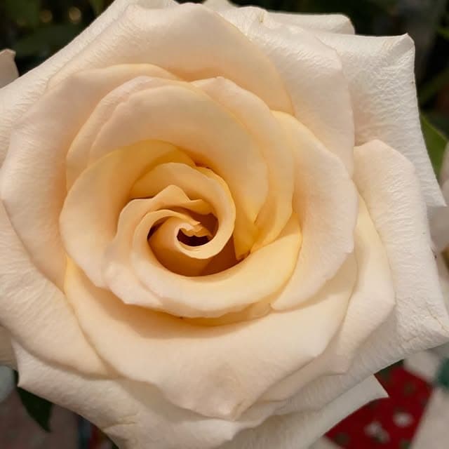 Flower Deco logo
