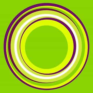 CameraStuff logo