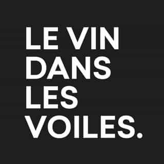 Le vin dans les voiles logo