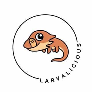 Larvalicious logo
