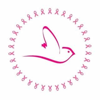 Carnival Lenceria logo