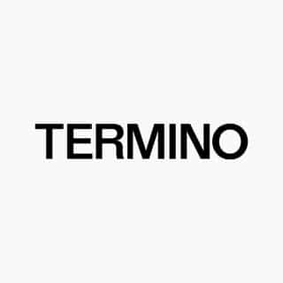 TERMINO logo