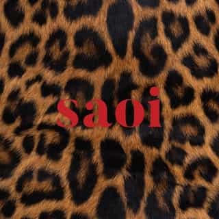Saoi logo