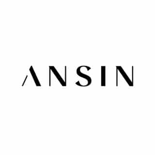 ANSIN logo