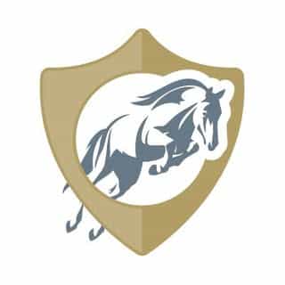 Ride EquiSafe logo