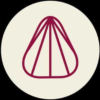 Southside Guitars logo