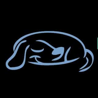 buddyrest.com logo