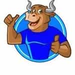 T-ShirtBull logo
